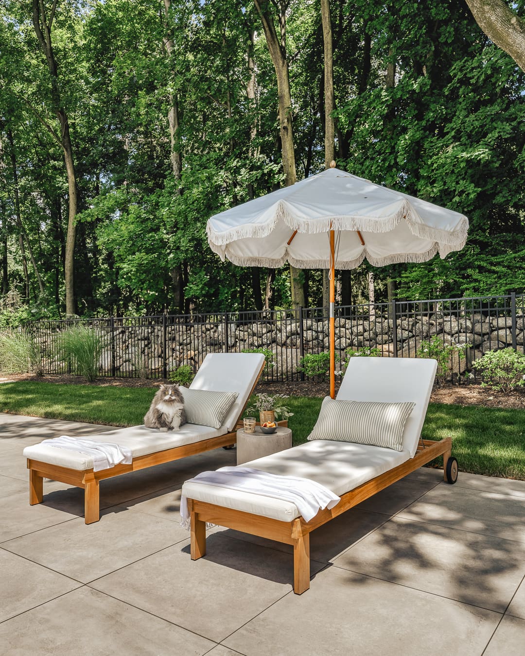 Summer outdoor backyard with lounge chairs, vintage umbrella, and cat!